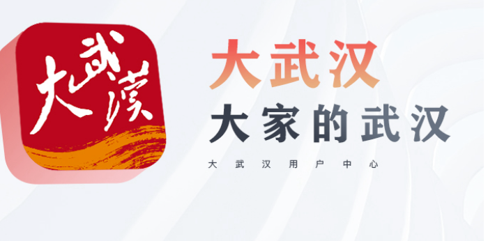 媒体链接 | 奔赴“两村、三地、六点”,武大学子感受中国共产党的“精神密码”